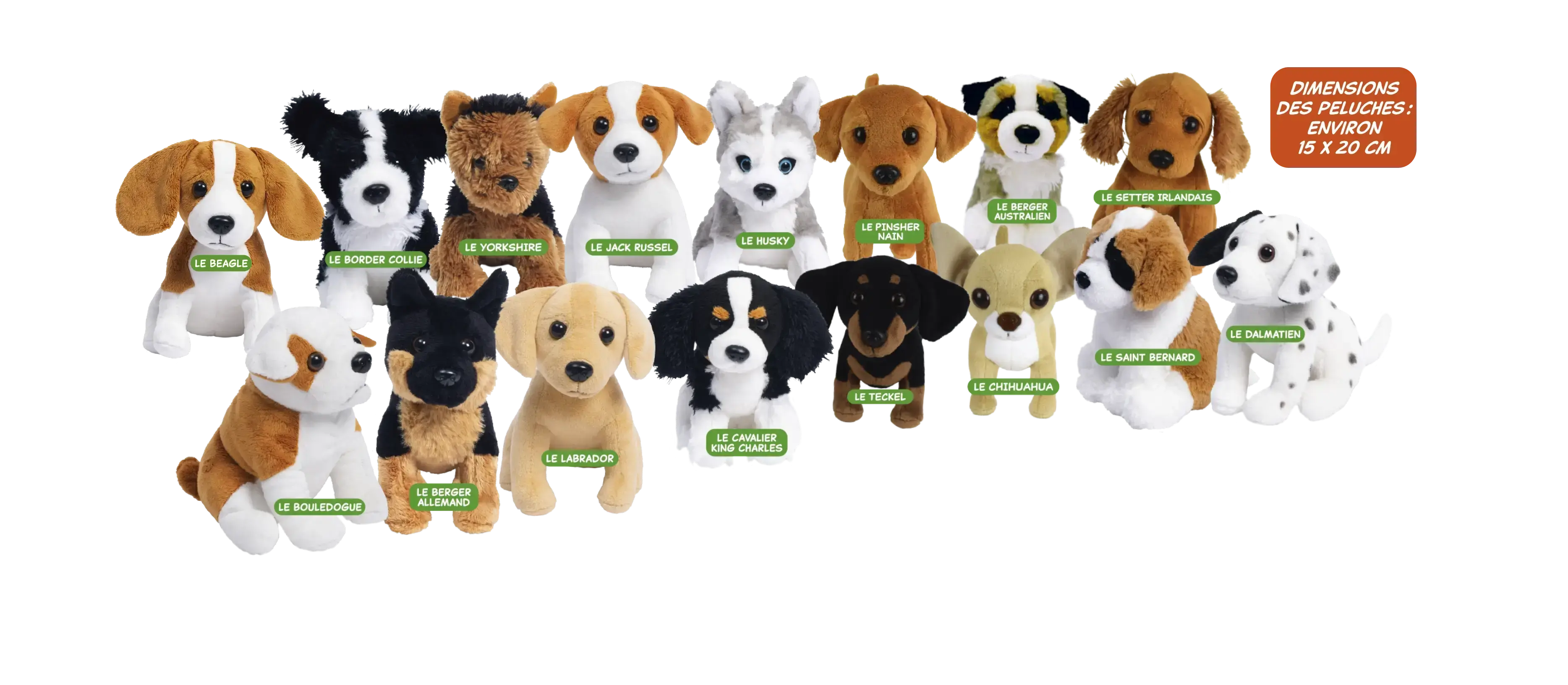 Joue et apprends avec les meilleurs amis des enfants